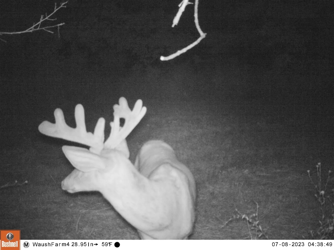 Quality hunting building recreational property Hunting Land for Sale