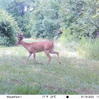 Quality hunting building recreational property images 3