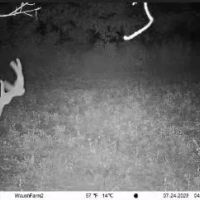Quality hunting building recreational property images 4