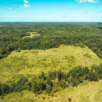 Eastern Ozark Border Pasturelands Tract 3 images 4