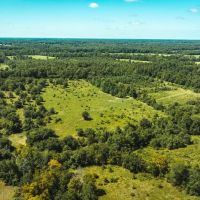 Eastern Ozark Border Pasturelands Tract 3 images 5