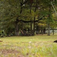 Homesite with Pond Saint Francisville LA images 5