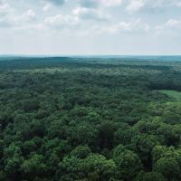 River of Life at the Meramec Tract 1 images 4