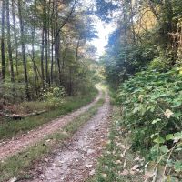 Town Creek Farm images 4