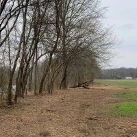 3 acres on the Ouachita River in Hot Spring County images 4