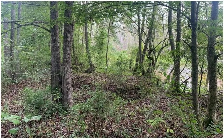 48.5 Acres With Three Homes in Copiah County in Hazlehurst MS featured image