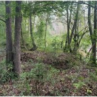 48.5 Acres With Three Homes in Copiah County in Hazlehurst MS
