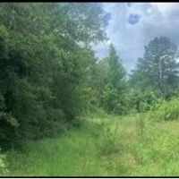 48.5 Acres With Three Homes in Copiah County in Hazlehurst MS images 3