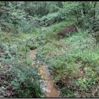 48.5 Acres With Three Homes in Copiah County in Hazlehurst MS images 5