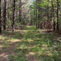 66-126-bear-creek-tract images 5