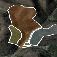 126.55 surveyed acres of excellent hunting recreational property with creek and rustic cabin located in Jackson County TN images 2