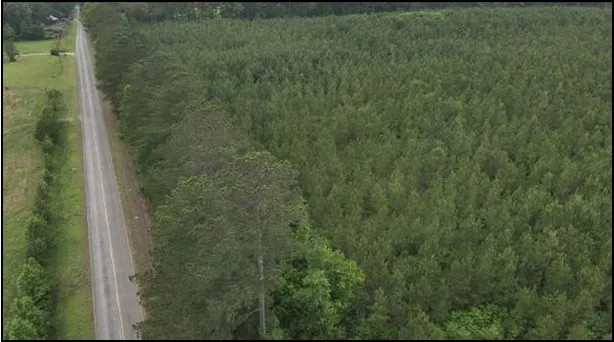 91.7 Acres in Leake County in Kosciusko MS featured image
