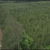91.7 Acres in Leake County in Kosciusko MS