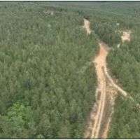 91.7 Acres in Leake County in Kosciusko MS images 2