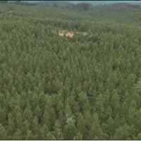 91.7 Acres in Leake County in Kosciusko MS images 4