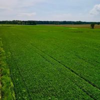 31.97 acres of Residential and Agricultural Land For Sale in Craven County NC images 5