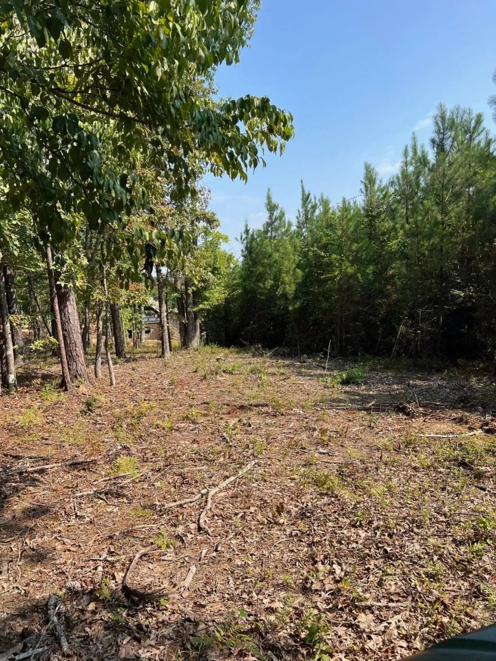 52 acres near Lake Martin in Tallapoosa Co featured image