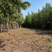 52 acres near Lake Martin in Tallapoosa Co