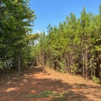 52 acres near Lake Martin in Tallapoosa Co images 4