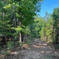 52 acres near Lake Martin in Tallapoosa Co images 5