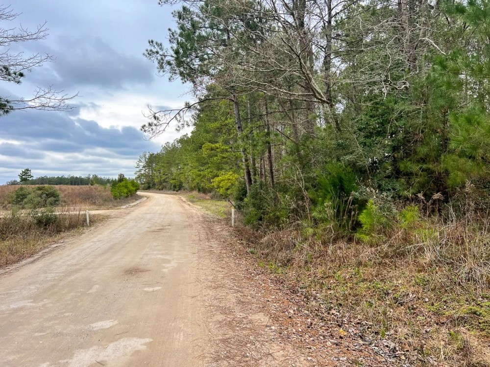 16 Acres Paces Creek T-3A featured image