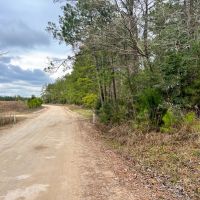 16 Acres Paces Creek T-3A images 1