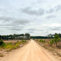 16 Acres Paces Creek T-3A images 5
