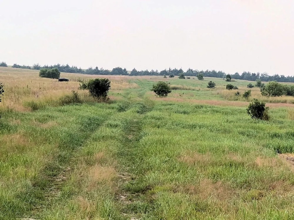160.06 Acres more or less - Tract 4 Antelope County Nebraska featured image