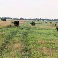 160.06 Acres more or less - Tract 4 Antelope County Nebraska