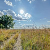160.06 Acres more or less - Tract 4 Antelope County Nebraska images 3