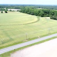 32 acres of Developable Farm and Timberland for Sale in Edgecombe County NC images 3
