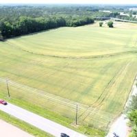 32 acres of Developable Farm and Timberland for Sale in Edgecombe County NC images 4