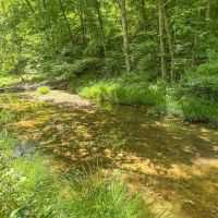 Griffith Rd - 29 acres - Hocking County images 5