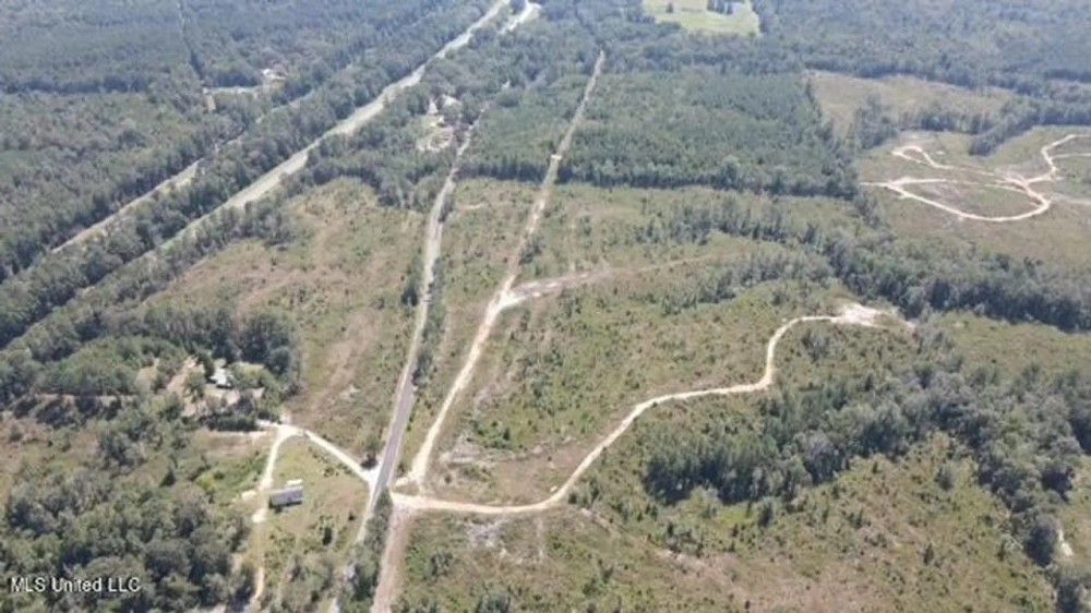 81 Acres Jasper County featured image