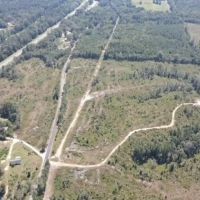 81 Acres Jasper County
