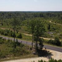81 Acres Jasper County images 2