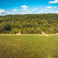 Piney Valley Estates-Tract 4 images 2