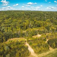 Piney Valley Estates-Tract 4 images 5