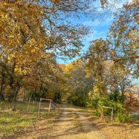 699 Acres CR 4640 Tract 1002