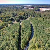 2.95 acres of Residential and Recreational Land For Sale in Caroline County VA images 2