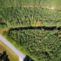 2.95 acres of Residential and Recreational Land For Sale in Caroline County VA images 3