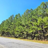 2.95 acres of Residential and Recreational Land For Sale in Caroline County VA images 5