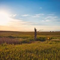 Hettinger Hunting Haven images 3