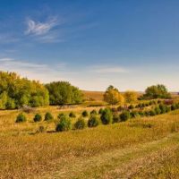 Hettinger Hunting Haven images 4