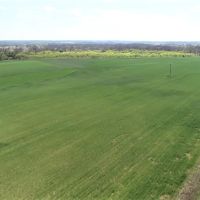 Land for Sale in Bend TX -