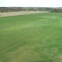 Land for Sale in Bend TX - images 3