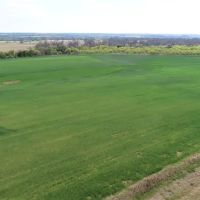 Land for Sale in Bend TX - images 4