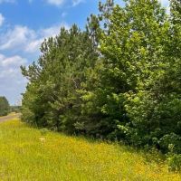 34 acres FM 92 T-12 images 5