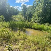Elk Creek Retreat images 4