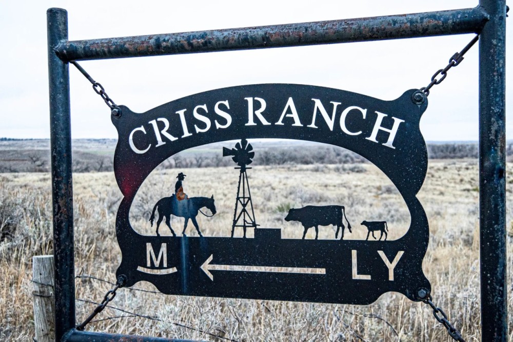 Criss Ranch featured image